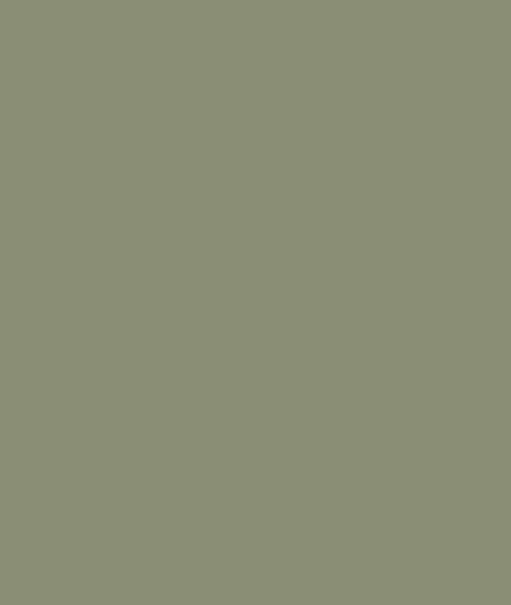 MOLY LEGGINGS TENCEL OLIVE